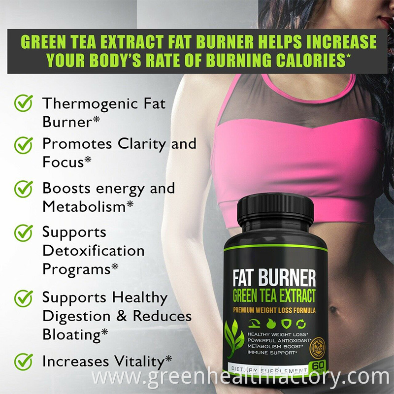 OEM/ODM Vegan Natural Pure Herbal slim lite extreme fat burner capsule Weight Loss Green Tea capsules China Slimming Capsules